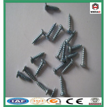 screw/collated drywall screws/galvanized drywall screw